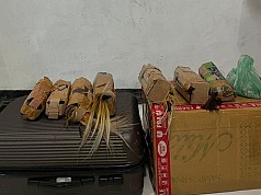 Penyelundupan Burung Cenderawasih dan Ganja Berhasil Digagalkan Petugas KPL di Pelabuhan Jayapura Penyelundupan Burung Cenderawasih dan Ganja Berhasil Digagalkan Petugas KPL di Pelabuhan Jayapura