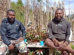 Orang Papua Tetap Sukseskan Pileg dan Pilpres