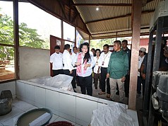 Resmikan UPH Tepung Sagu Mabers Phuyaka, Pj Gubernur Papua Berharap Masyarakat Termotivasi Resmikan UPH Tepung Sagu Mabers Phuyaka, Pj Gubernur Papua Berharap Masyarakat Termotivasi