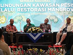 Freeport Indonesia Proaktif Rehabilitasi Mangrove Demi Melindungi Kawasan Pesisir Freeport Indonesia Proaktif Rehabilitasi Mangrove Demi Melindungi Kawasan Pesisir