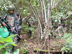 Aparat TNI Temukan Ganja di Perbatasan Indonesia-PNG Aparat TNI Temukan Ganja di Perbatasan Indonesia-PNG