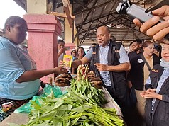 Promosikan Produk Pangan Lokal, Mari-Yo Bagikan Sagu Kemasan dan Abon Ikan Setiap Kampanye Promosikan Produk Pangan Lokal, Mari-Yo Bagikan Sagu Kemasan dan Abon Ikan Setiap Kampanye