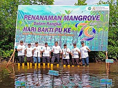 Sambut Hari Bhakti PU ke-79, BWS Papua Tanam 300 Bibit Pohon Bakau Sambut Hari Bhakti PU ke-79, BWS Papua Tanam 300 Bibit Pohon Bakau