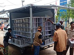 Makan Bergizi Gratis di Kabupaten Merauke Provinsi Papua Selatan Makan Bergizi Gratis di Kabupaten Merauke Provinsi Papua Selatan