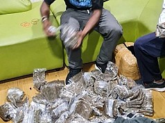 Bawa 186 Paket Ganja, Pemudik Tujuan Wamena Ditangkap di Bandara Sentani Bawa 186 Paket Ganja, Pemudik Tujuan Wamena Ditangkap di Bandara Sentani