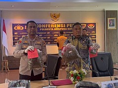 Modus Baru Kirim Ganja Via Jasa Pengiriman, YW Dibekuk Opsnal Narkoba Polresta Jayapura Modus Baru Kirim Ganja Via Jasa Pengiriman, YW Dibekuk Opsnal Narkoba Polresta Jayapura