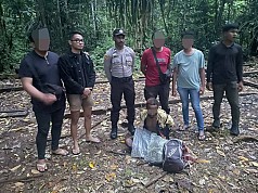 Seorang WNA Diciduk Polisi, Kedapatan Bawa Ganja di Perbatasan RI- PNG Seorang WNA Diciduk Polisi, Kedapatan Bawa Ganja di Perbatasan RI- PNG