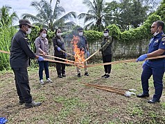 Cegah Flu Burung, Karantina Papua Musnahkan Unggas Tidak Berdokumen Cegah Flu Burung, Karantina Papua Musnahkan Unggas Tidak Berdokumen