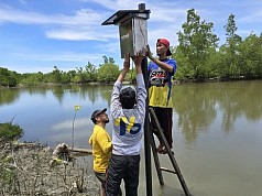 Program Jagat Raya: Inovasi Teknologi Indosat, Dukung Pelestarian Lingkungan dan Pemberdayaan Masyarakat Lokal di Ambon Program Jagat Raya: Inovasi Teknologi Indosat, Dukung Pelestarian Lingkungan dan Pemberdayaan Masyarakat Lokal di Ambon