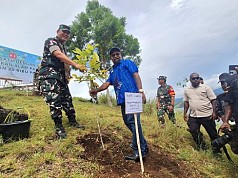 Sambut Hut Kemerdekaan, Korem 172/PWY Hijaukan Alam Papua dengan 80 Ribu Pohon  Sambut Hut Kemerdekaan, Korem 172/PWY Hijaukan Alam Papua dengan 80 Ribu Pohon