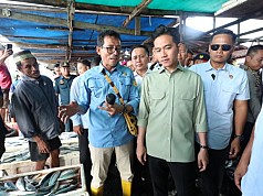 Dampingi Wapres Tinjau PPI Hamadi, Pj Gubernur: Potensi Perikanan di Papua Cukup Besar Dampingi Wapres Tinjau PPI Hamadi, Pj Gubernur: Potensi Perikanan di Papua Cukup Besar