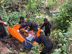 Empat Hari Pencarian, Satu Korban Kerusuhan Yalimo Ditemukan tak Bernyawa di Lereng Tebing Empat Hari Pencarian, Satu Korban Kerusuhan Yalimo Ditemukan tak Bernyawa di Lereng Tebing