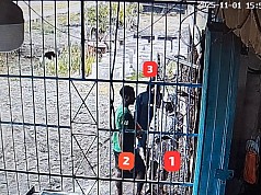 Penikaman Terhadap Warga Terjadi di Dekai, Satgas Damai Cartenz: Luka Tusukan di Dagu dan Leher Penikaman Terhadap Warga Terjadi di Dekai, Satgas Damai Cartenz: Luka Tusukan di Dagu dan Leher