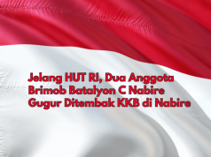 Jelang HUT RI, Dua Anggota Brimob Batalyon C Nabire Gugur Ditembak KKB  Jelang HUT RI, Dua Anggota Brimob Batalyon C Nabire Gugur Ditembak KKB