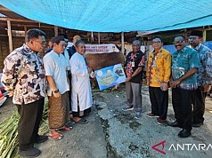 Pemprov Papua Distribusikan Satu Sapi Kurban Bantuan Presiden Jokowi Pemprov Papua Distribusikan Satu Sapi Kurban Bantuan Presiden Jokowi