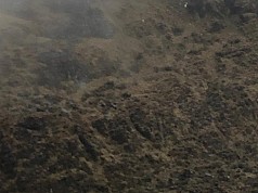 Pesawat Twin Otter Diduga Tabrak Gunung di Distrik Oye Pesawat Twin Otter Diduga Tabrak Gunung di Distrik Oye