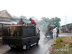 Kepala BNPB: Presiden Perintahkan 