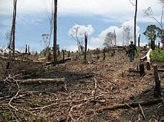 Dua Kabupaten di Papua Ini Rawan Bencana, Tapi Belum Ada BPBD