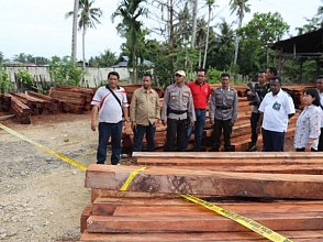 Lagi, Dishut Papua Temukan Ribuan Batang Kayu Tak Bertuan di Wilayah Keerom