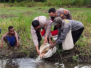 Binmas Noken Polres Merauke Tinjau Spot Budi Daya Ikan Milik Oktovianus Wikom 