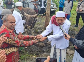 Bupati Puncak Jaya Turut Berqurban di Momen Idul Adha, Cerminan Toleransi Umat Beragama