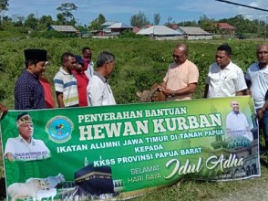 Alumni Jawa Timur di Tanah Papua Sumbang 2 Ekor Sapi, Suyanto: Terima Kasih Pak Paulus Waterpauw