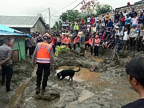 Anjing Pelacak Diturunkan, Tim Evakuasi Temukan 15 Jenazah Korban Banjir