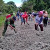 Babinsa  Bantu Warga, Perbaiki Jalan Rusak di Kampung Sawara Jaya Waropen
