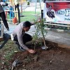 Sat Lantas Polres Jayapura Tanam Pohon Pucuk Merah Di Halaman Tk Kemala Bhayangkari Sentani