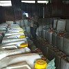 Kembali Polda Papua Barat Amankan 20 Ton CT di Gudang Labora Sitorus