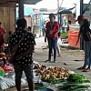 Papua Muda Inspiratif Manokwari Melakukan Edukasi Tentang Bahaya Korona ke Mama-mama Papua