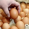Ternyata Tak Ada Telur Palsu di Indonesia