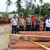 Lagi, Dishut Papua Temukan Ribuan Batang Kayu Tak Bertuan di Wilayah Keerom