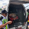 TPNPB Organisasi Papua Merdeka  Bertanggungjawab Atas Penyerangan Rombongan Balai Bina Marga 