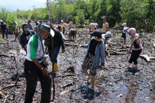 Melawan Lupa, Hampir Satu Hektar Hutan Mangrove Belum Ditanami