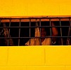 Perampok Berhasil Kabur dari Tahanan Polres Ciamis