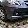 Buah-buah ini Bisa Lindungi Mobil Anda dari Serangan Tikus