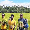 Oktober 2023 Nilai Tukar Petani di Papua Naik 0,32 Persen